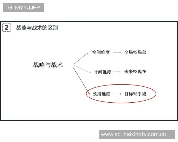 重庆排球队的节奏打法深度解析与战术优势探讨 重庆排球队的节奏打法深度解析与战术优势探讨